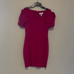 Badgley Mischka Fuchsia Mini Dress
